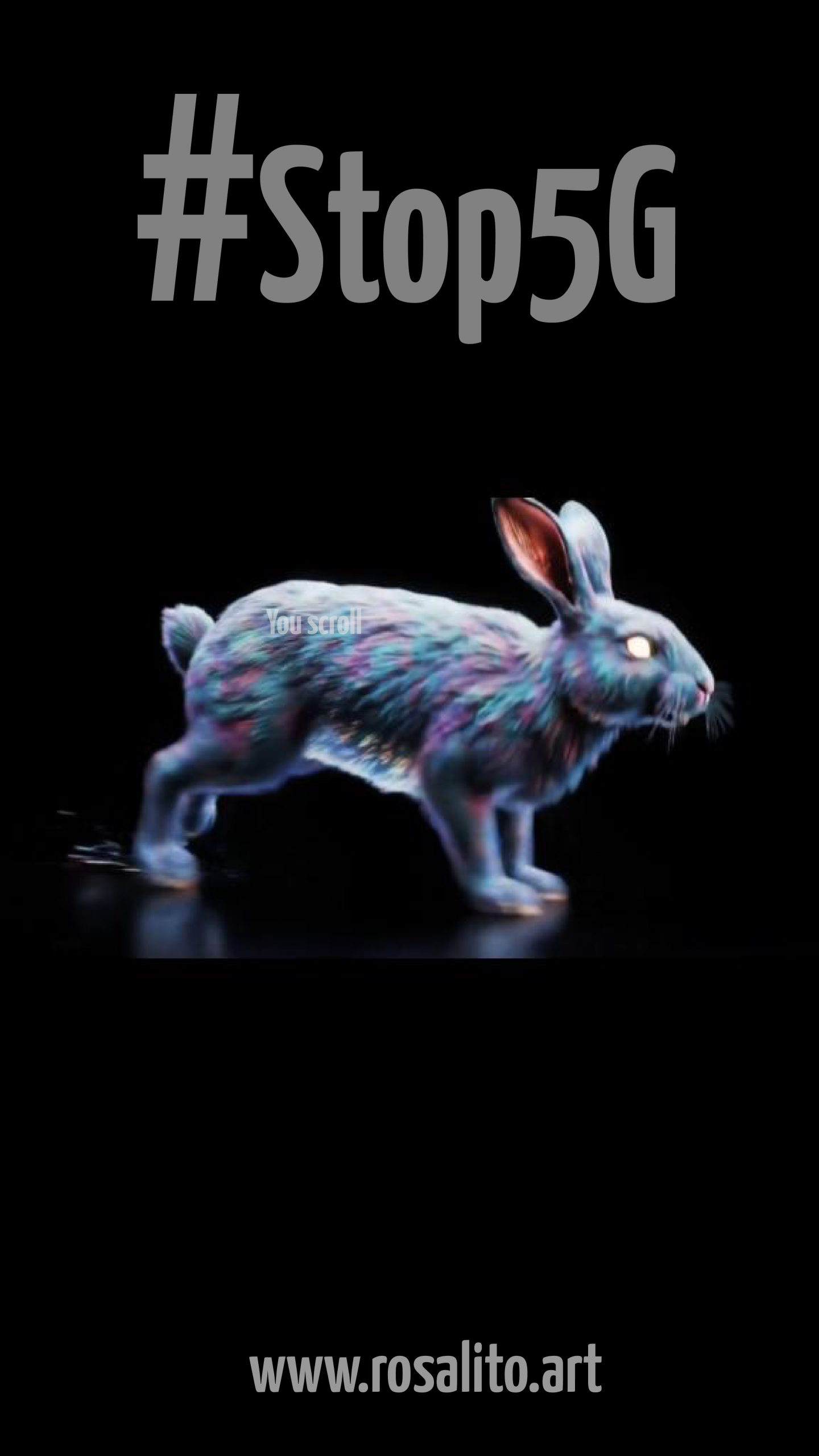 the ultimate rabbit hole
