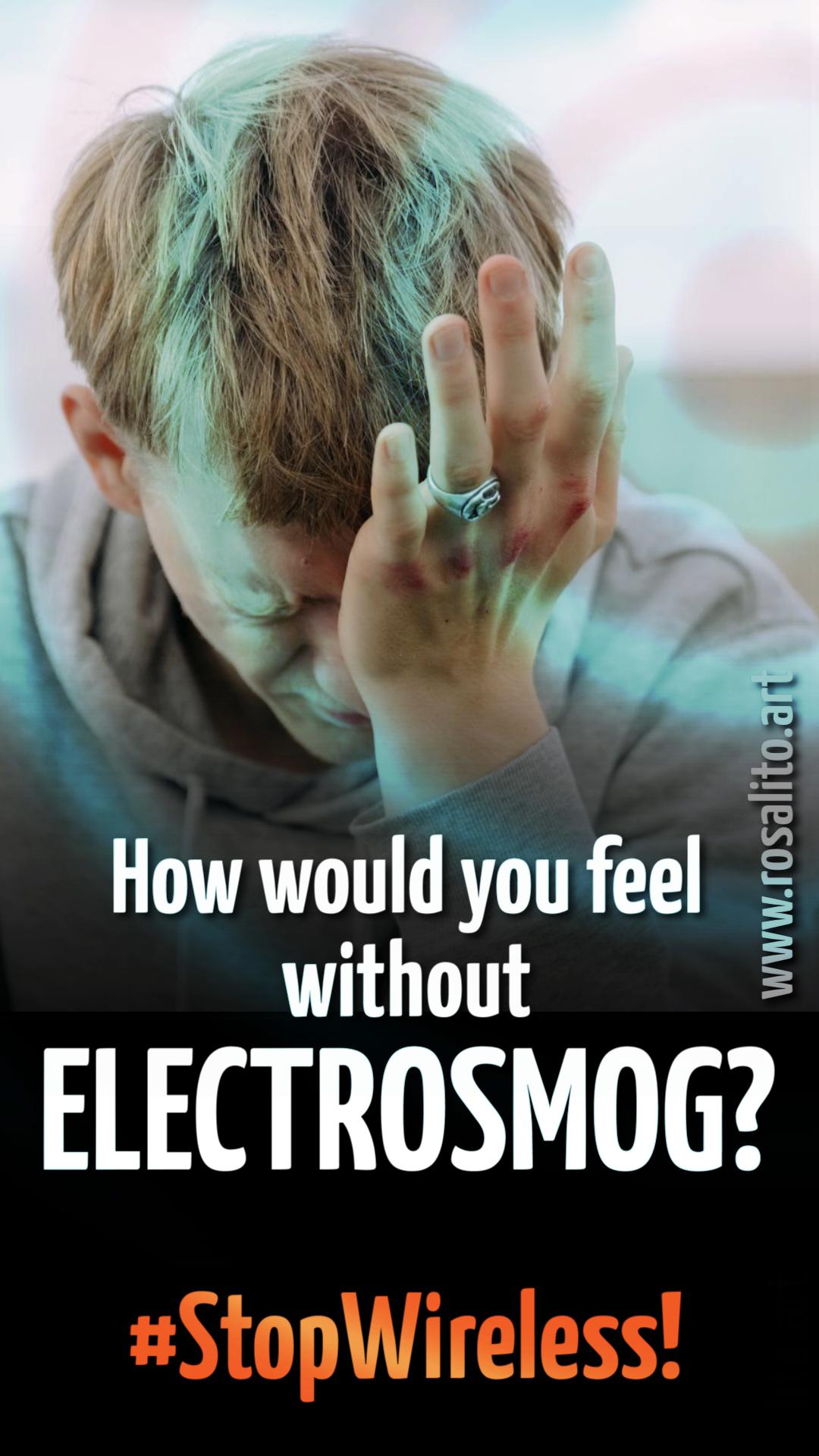 emectrosmog