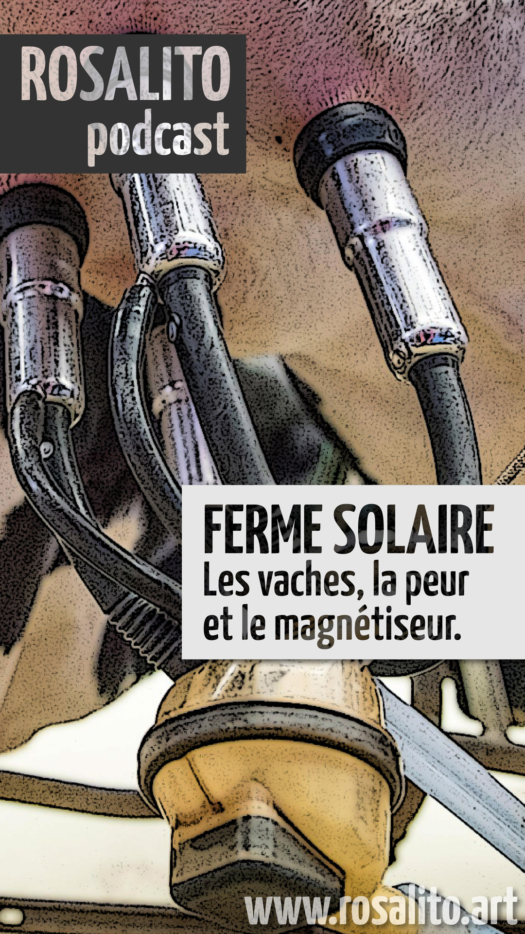 VACHES SOLAIRES